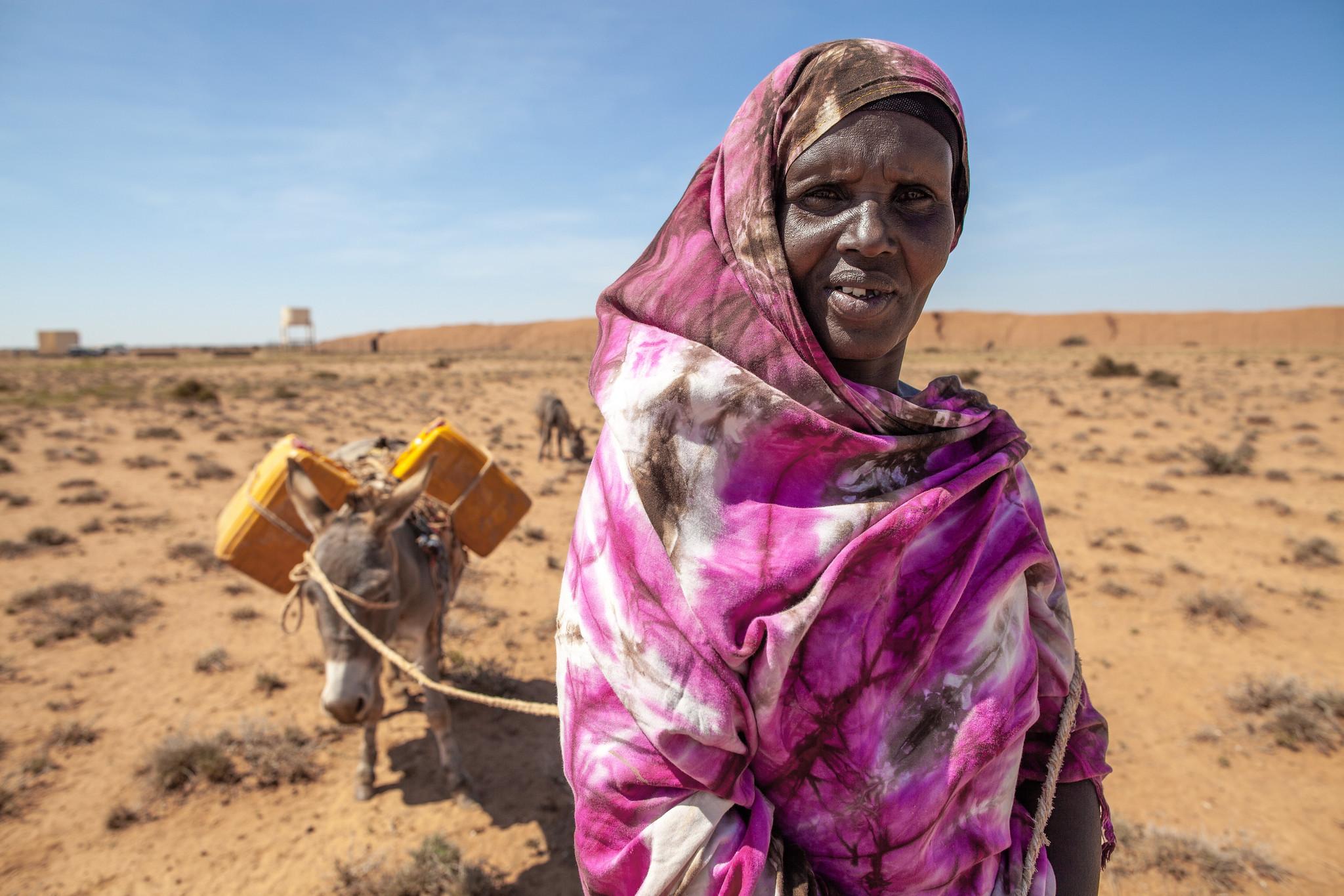 Woman with head covering and donkey in desert