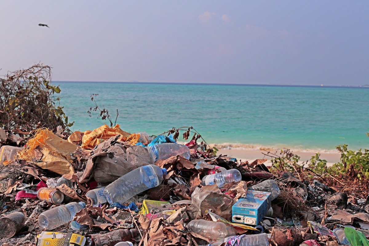 Plastic polluted beach