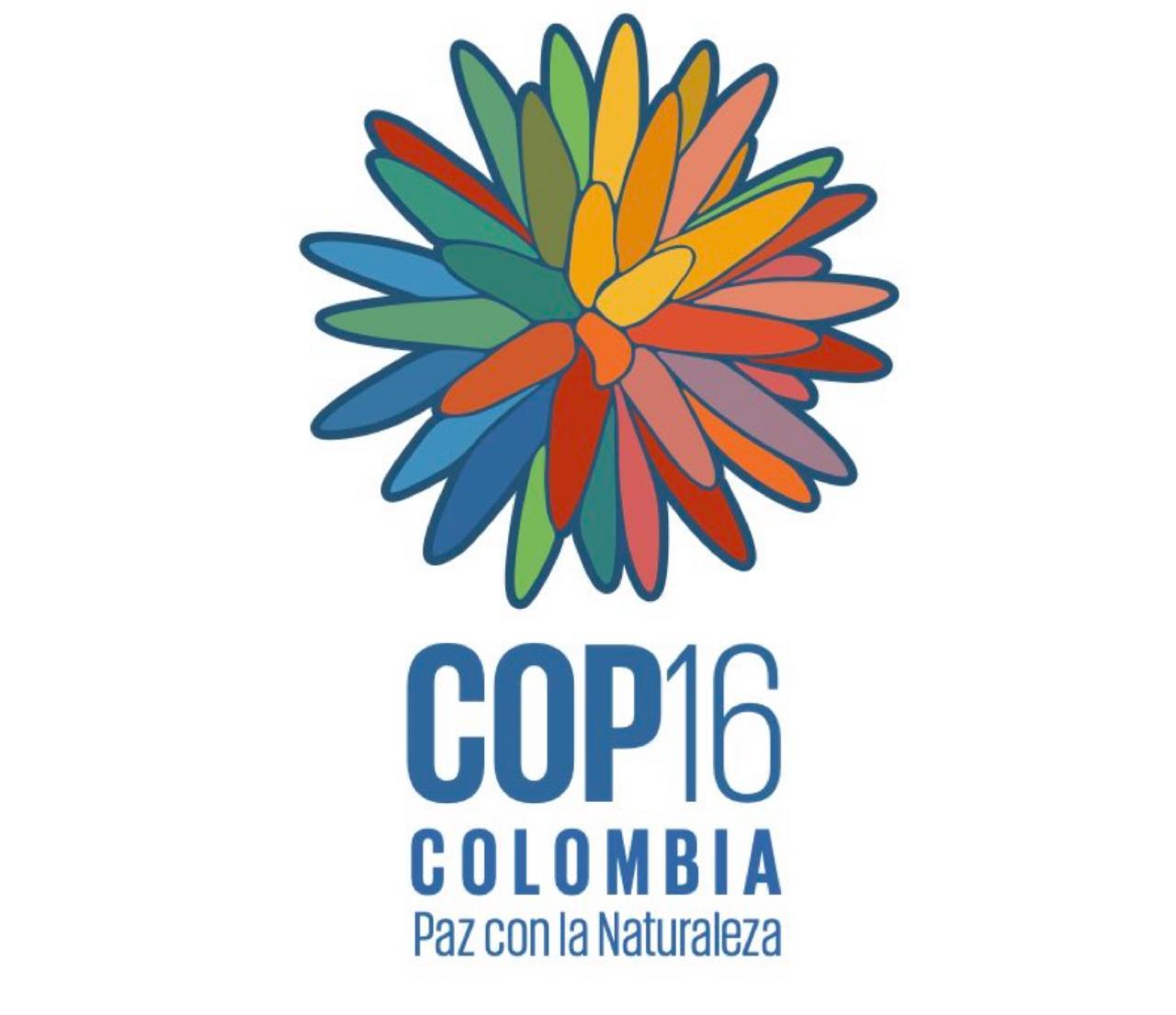 COP16