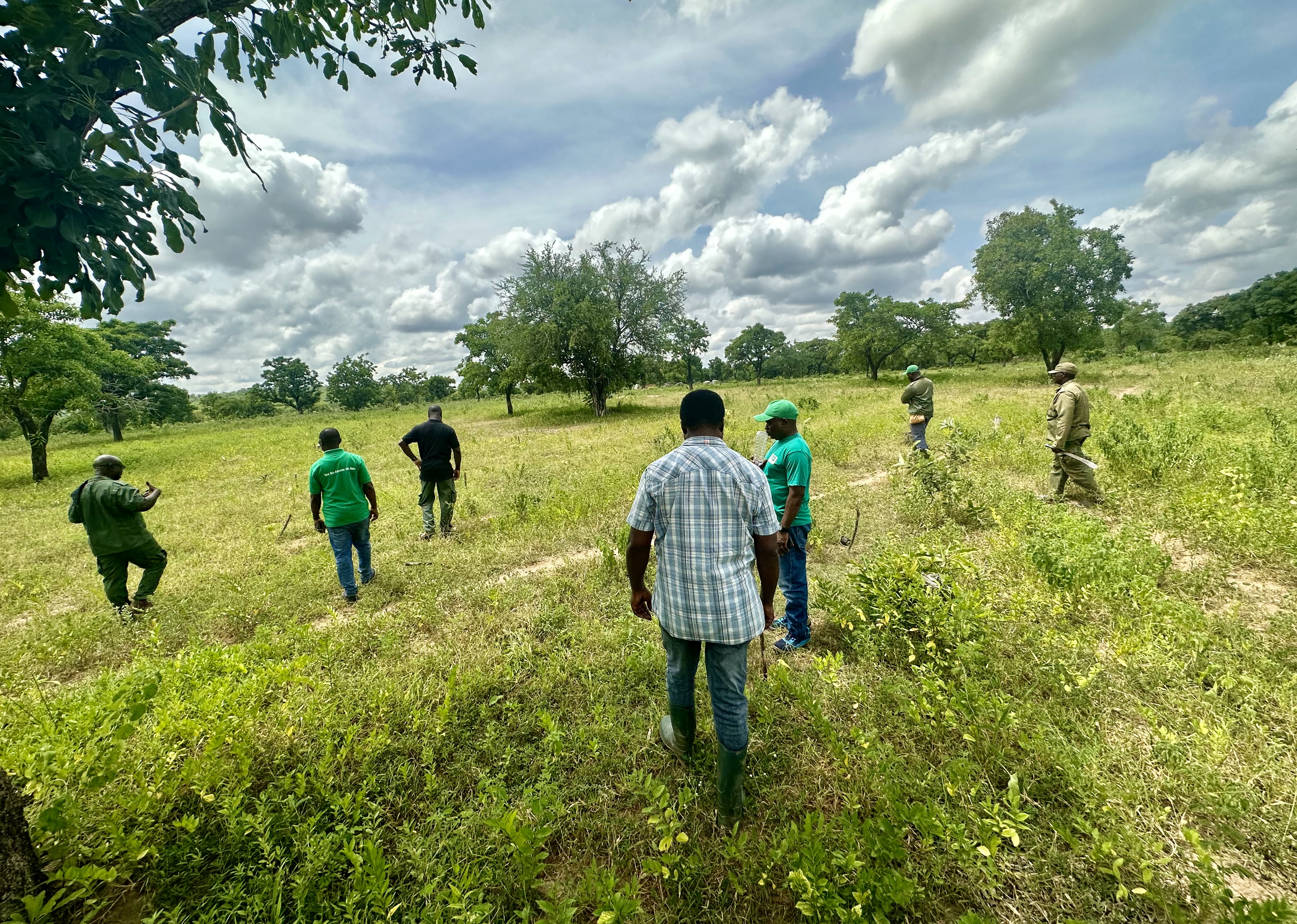 a group of people standing on a lush green field