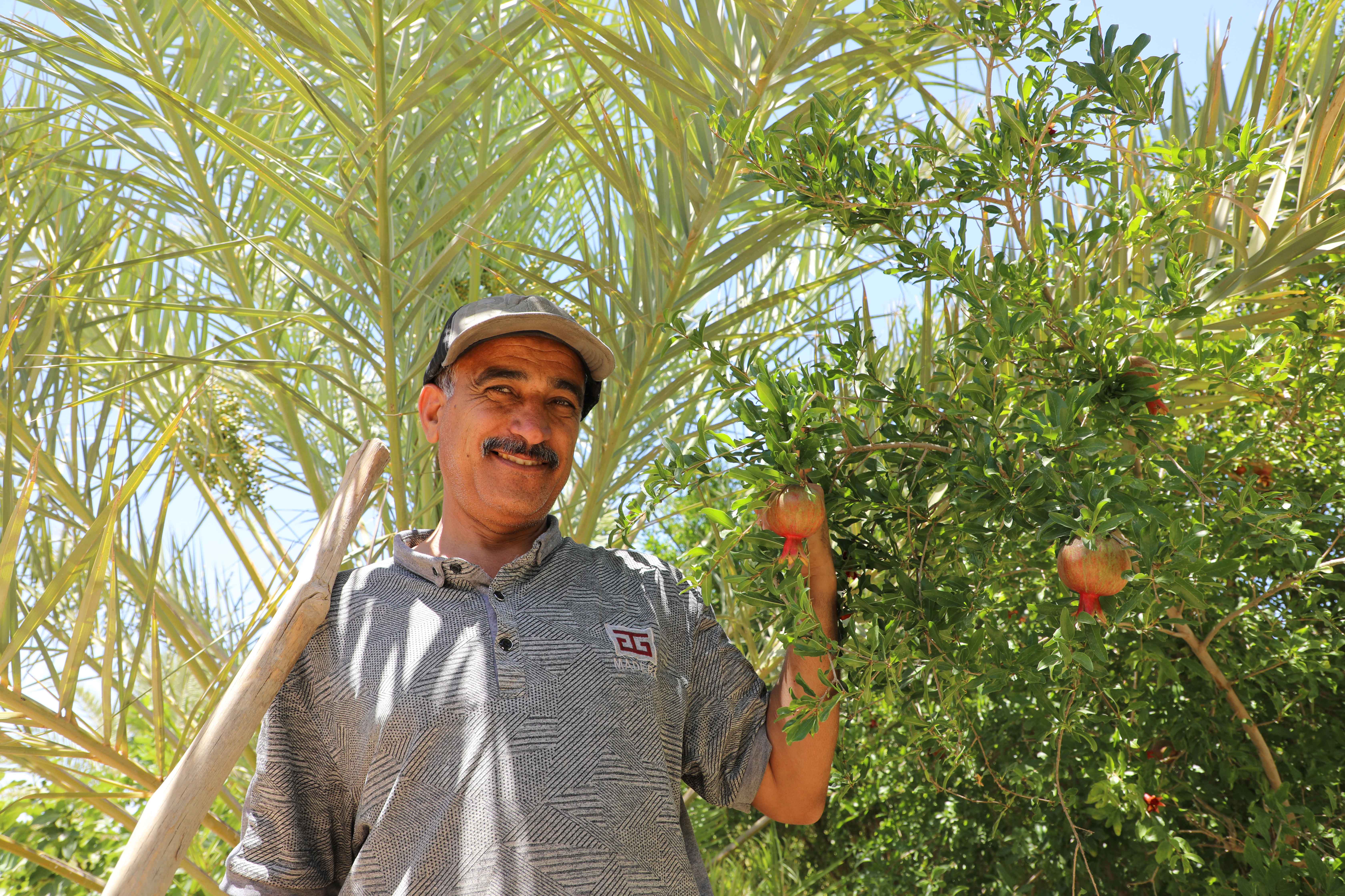 a man standing in front of a palm tree