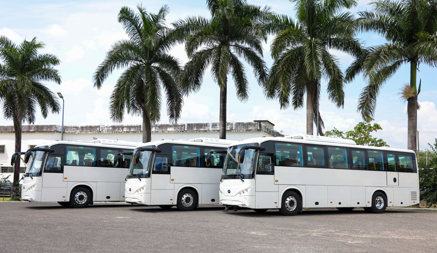 a bus parked in front of a palm tree