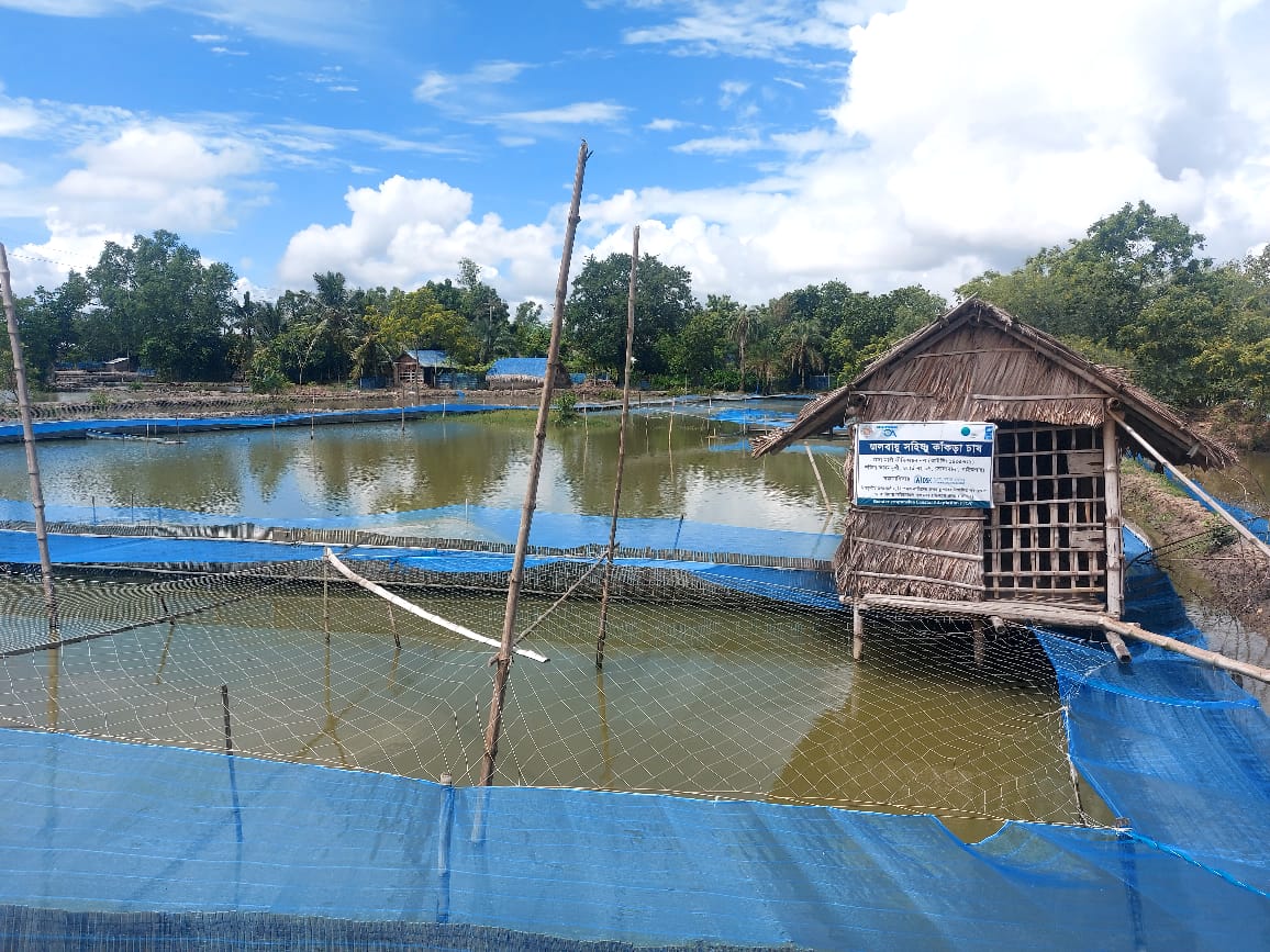 Hatchery. Photo: UNDP Bangladesh