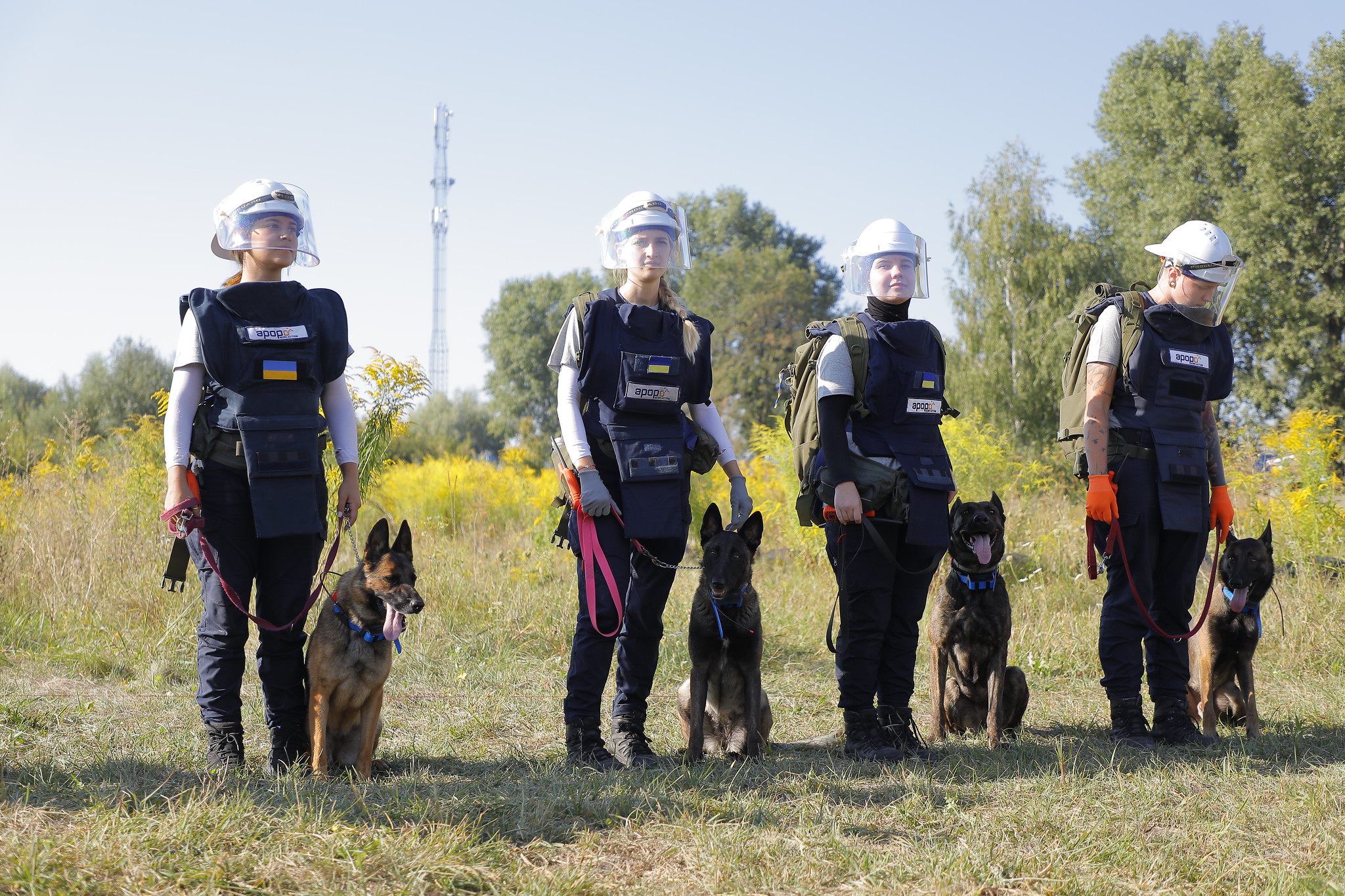 a group of people standing in a field with dogs