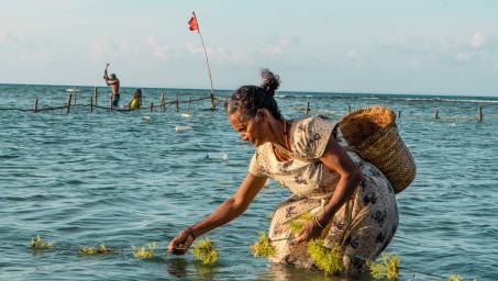 Timor Leste - SIDS